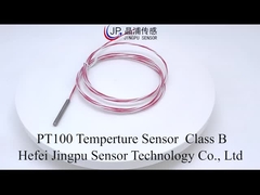 PT1000 PT100 Temperature Probe